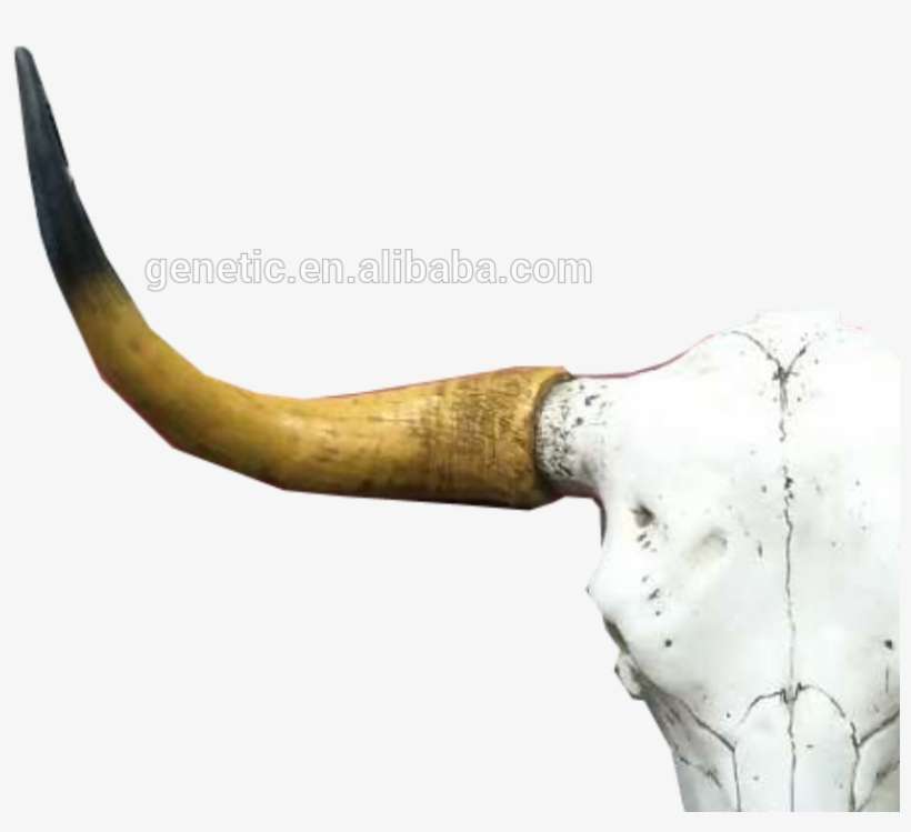 China Cow Skull, China Cow Skull Manufacturers And - Skull, transparent png download