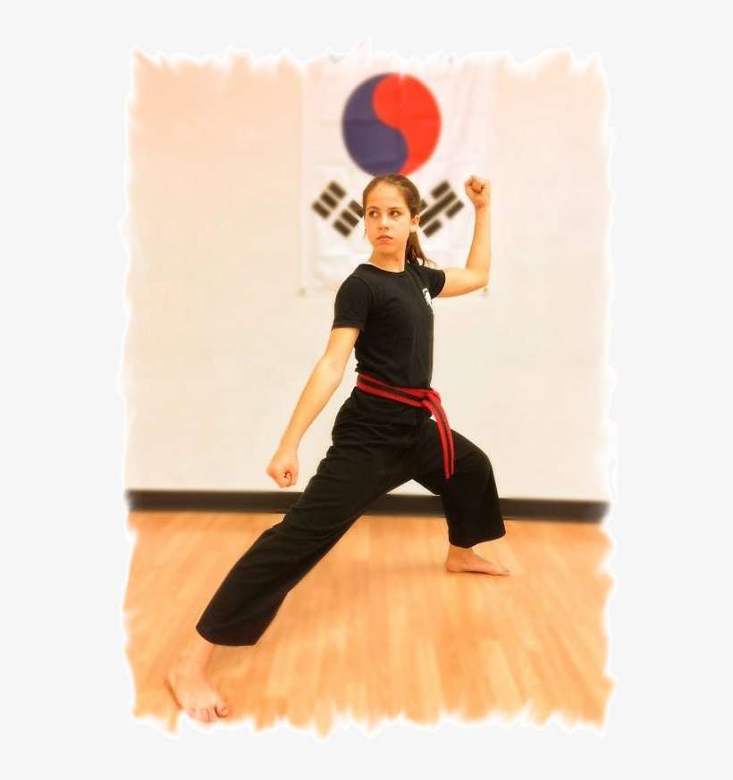 Why Tae Kwon Do - New Style World Taekwondo, transparent png download