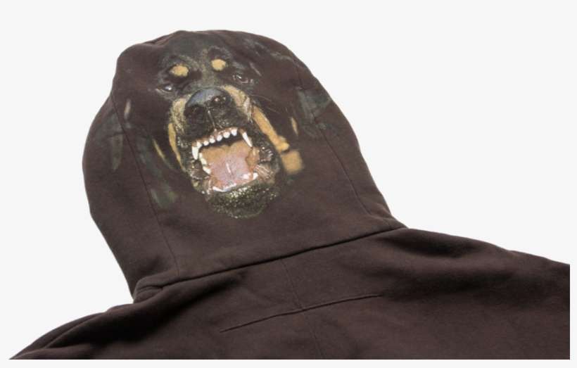 Sea Lion, transparent png download