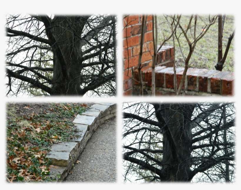 I Walk Out And Can Hear The Flakes Hitting The Ground - Snow, transparent png download