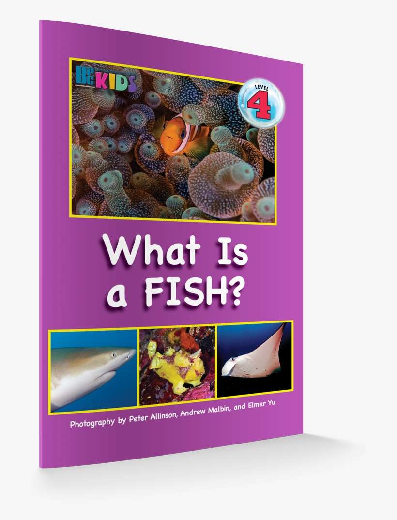 What Is A Fish Revisesd Edition 3d Cover - Fish, transparent png download