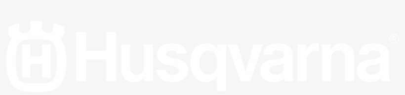 Viagens De Incentivo, Campanha De Incentivo, Eventos - Twitter White Bird Logo, transparent png download