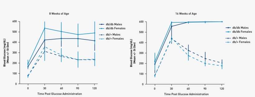 Figure 3 Glucose Tolerance Tests - Diagram, transparent png download