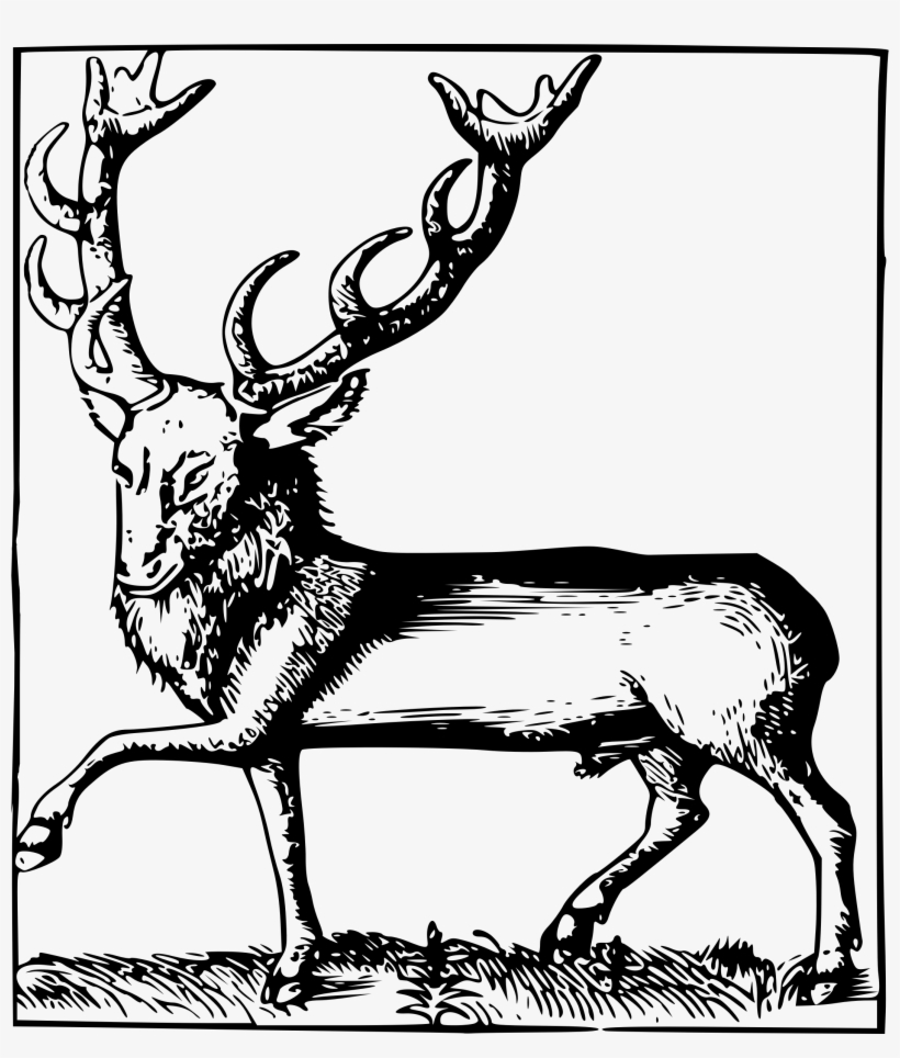 Big Image - Elk, transparent png download