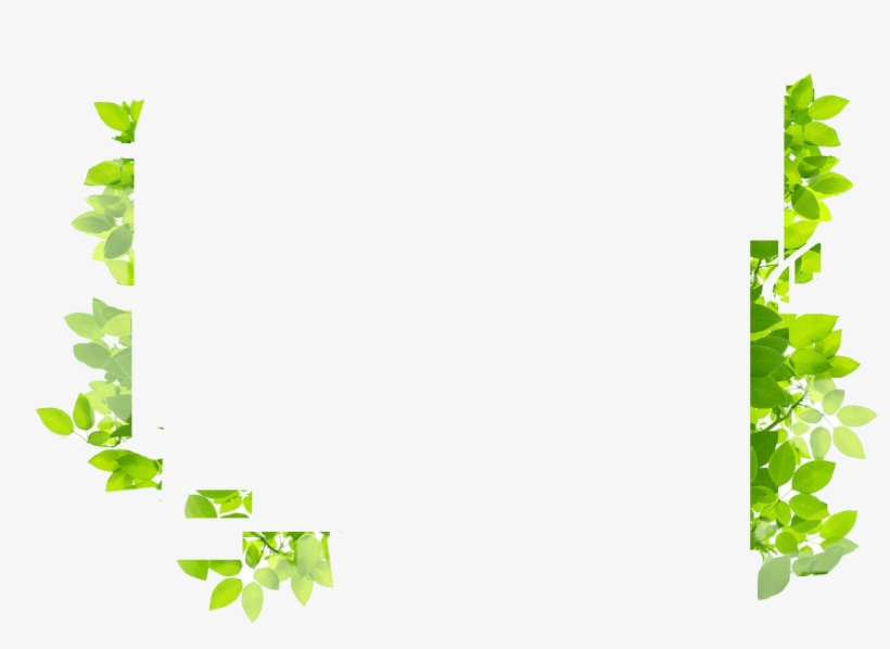 Flowers Banner New - Green Leaves Border, transparent png download
