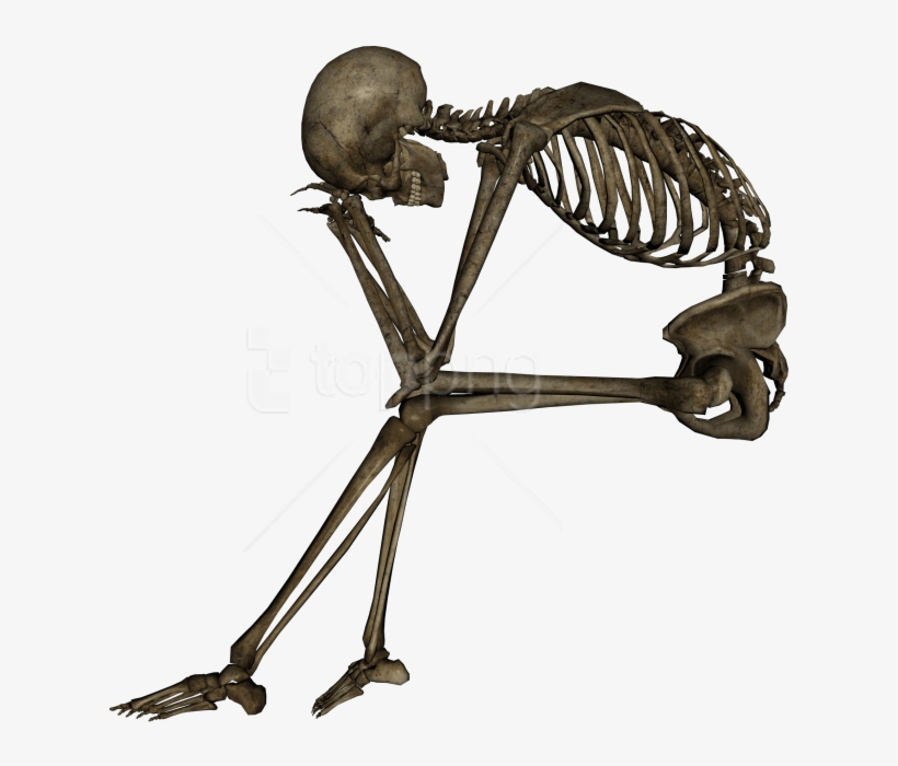 Free Png Skeleton, Skull Png Images Transparent - Skeleton Transparent, transparent png download