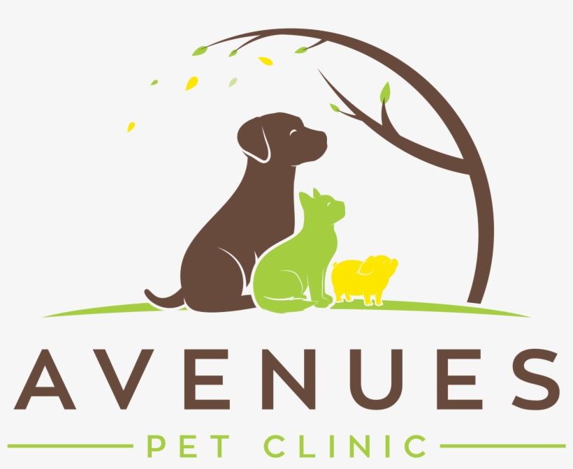 Avenues Pet Clinic, transparent png download