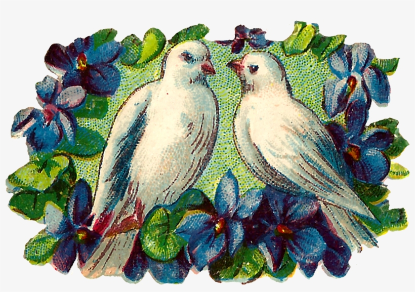 Antique Images Free Bird Love Note Flowers - Lovebird, transparent png download