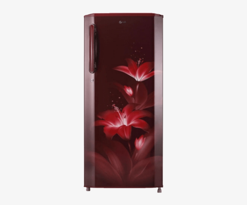 Lg Gl-b281brgx 270 L 4 Star Direct Cool Single Door - Lg Refrigerator 270 Litres Single Door, transparent png download