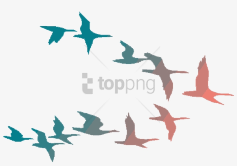 Free Png Colorful Flying Birds Png Image With Transparent - Colorful Flying Birds Png, transparent png download