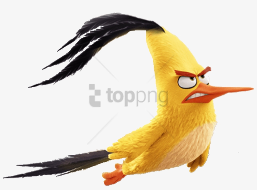 Free Png Angry Birds Movie Chuck Flying Png Image With - Angry Birds Movie Flying, transparent png download