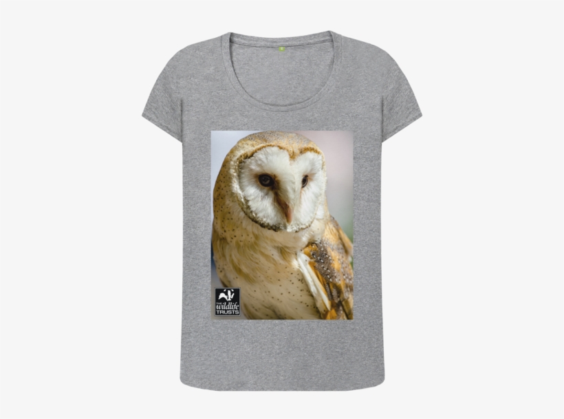 Athletic Grey Barn Owl Top - Bird Wallpaper Portrait, transparent png download