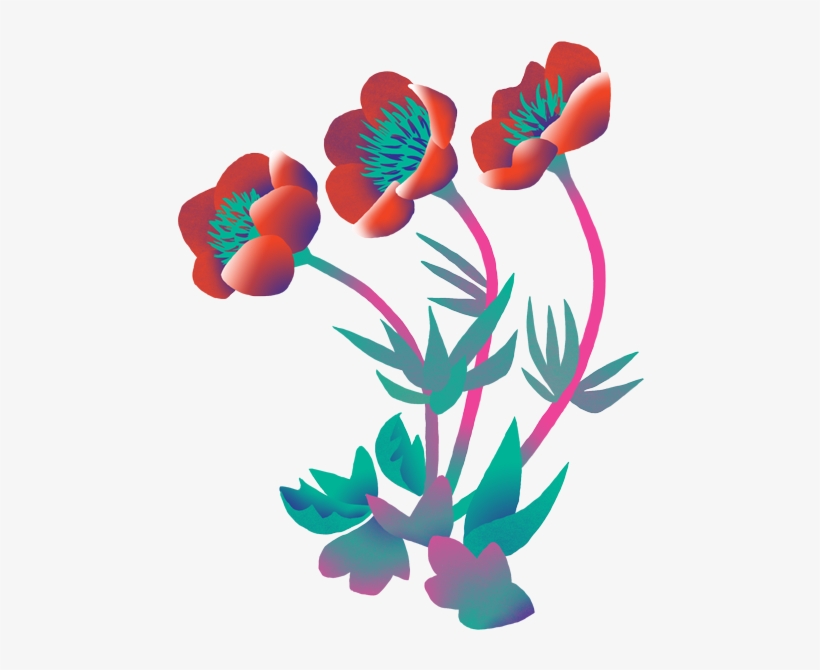 What Plant Would You Thank For Your Next Big Idea, transparent png download