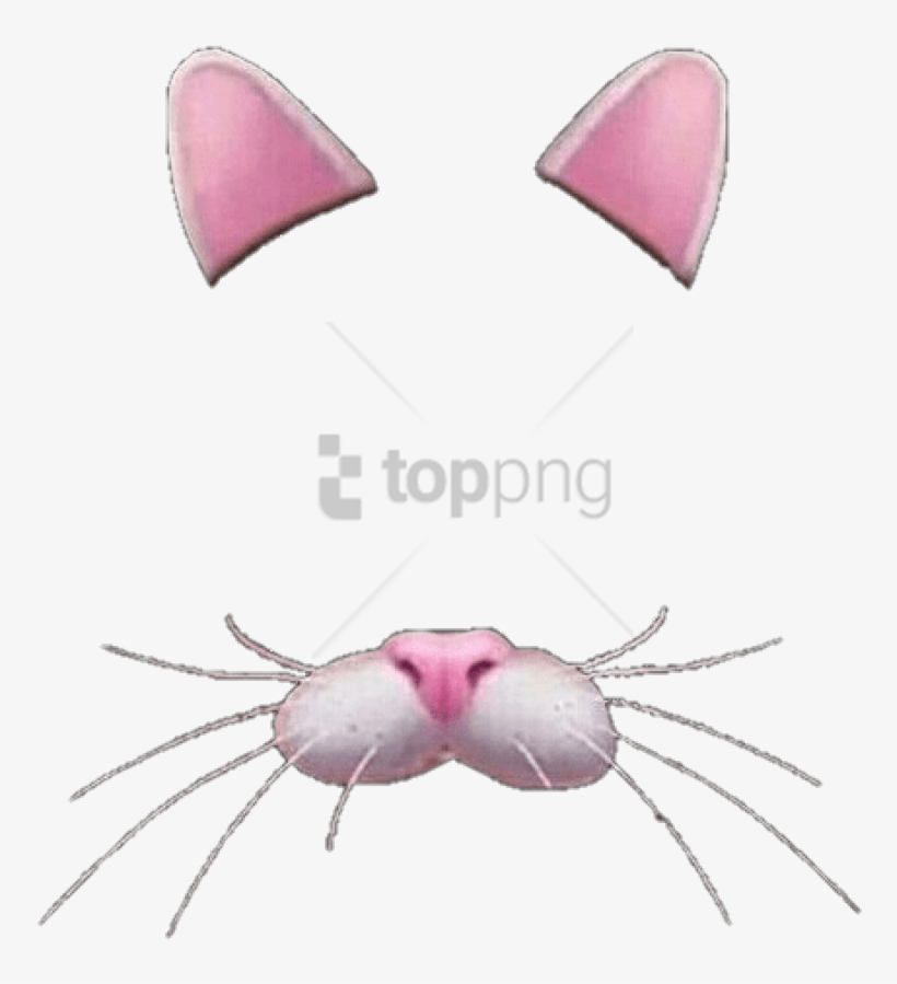 Free Png Flower Crown Transparent Overlay Png Image - Orejas De Gato Snapchat, transparent png download