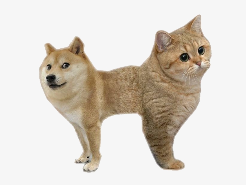 Do You Think Is Is A ********** - Three Eyed Frog, transparent png download