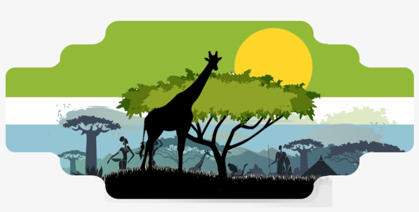 Service Learning & Educational Tours Kenya - Giraffe, transparent png download