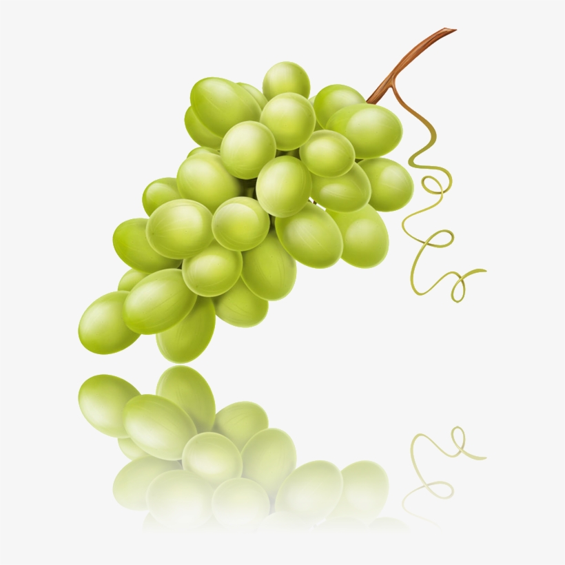 Uvas Con Reflejo - Seedless Fruit, transparent png download