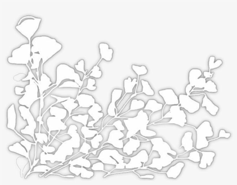 Flower Overlay I Suppose So Sticker Stickers - Flower, transparent png download