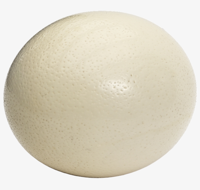 Ostrich Egg, Egg, Large Egg, Bouquet, Oval - Ostrich Egg Png, transparent png download
