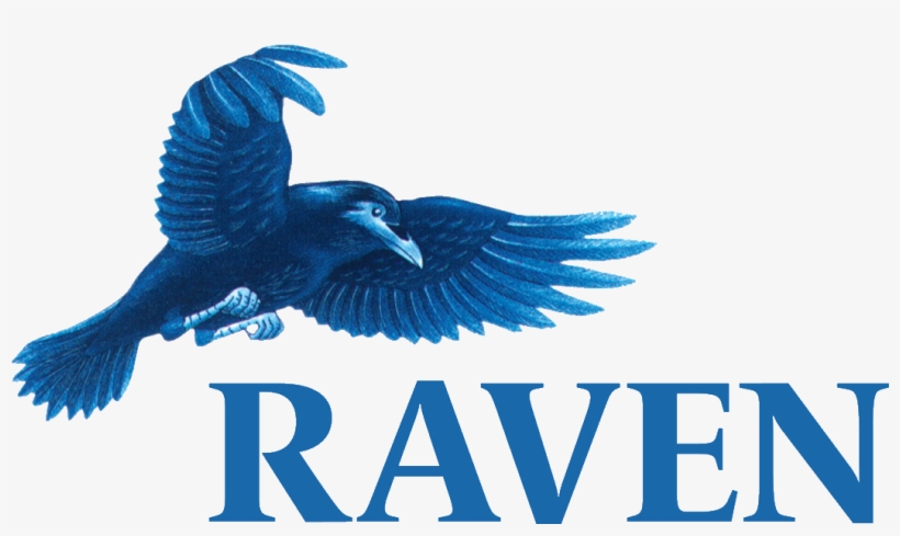 Raven Computers - Raven Design Png, transparent png download
