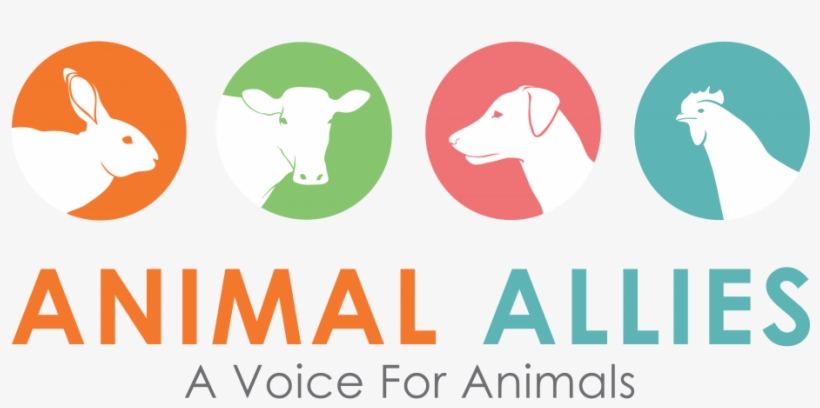 Join Vss - Annual Meeting Church Potluck, transparent png download