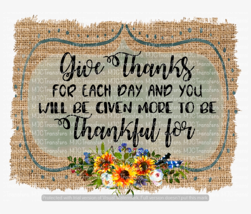 Blanket Flowers, transparent png download