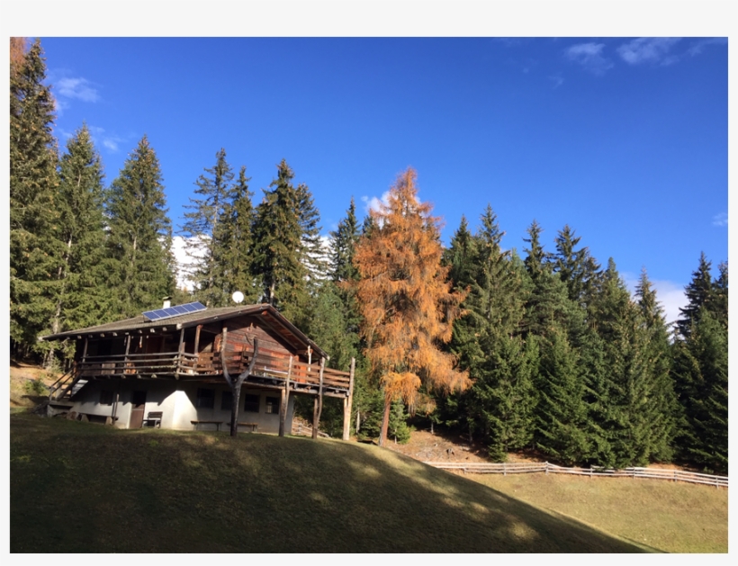 Our Mountain Lodge - American Larch, transparent png download