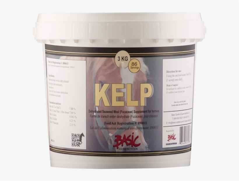 Kelp - Horse, transparent png download