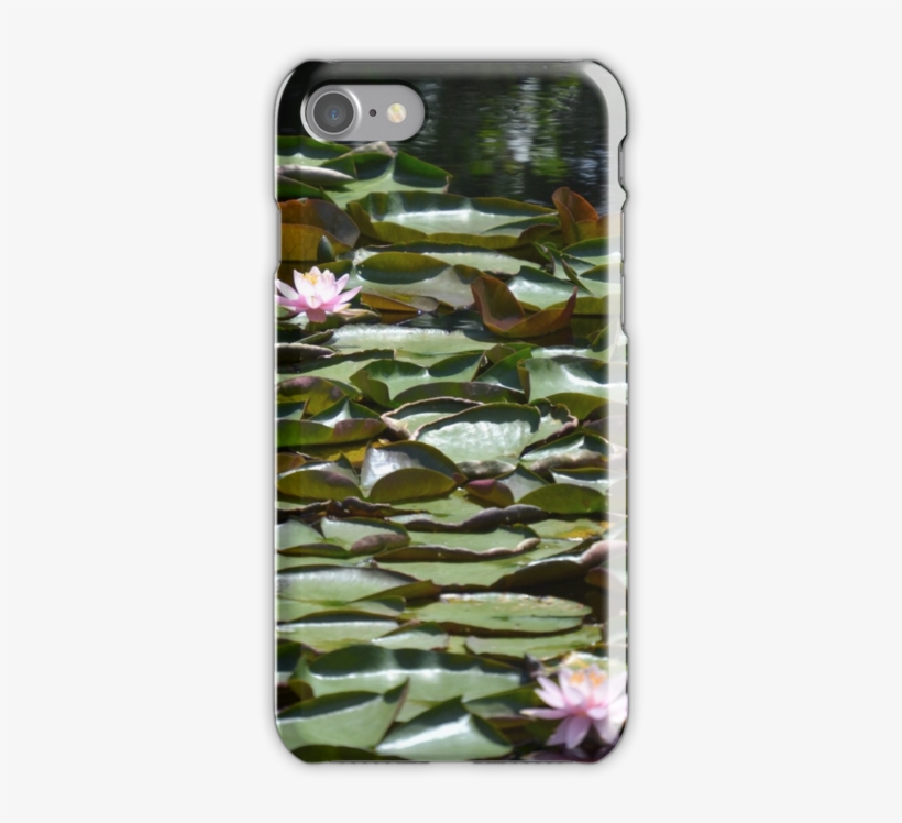 Lilly Pads By Pamela Carter Guindon - Mobile Phone Case, transparent png download