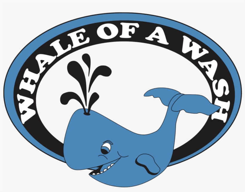 1500 X 1271 3 - Whale Of A Wash, transparent png download