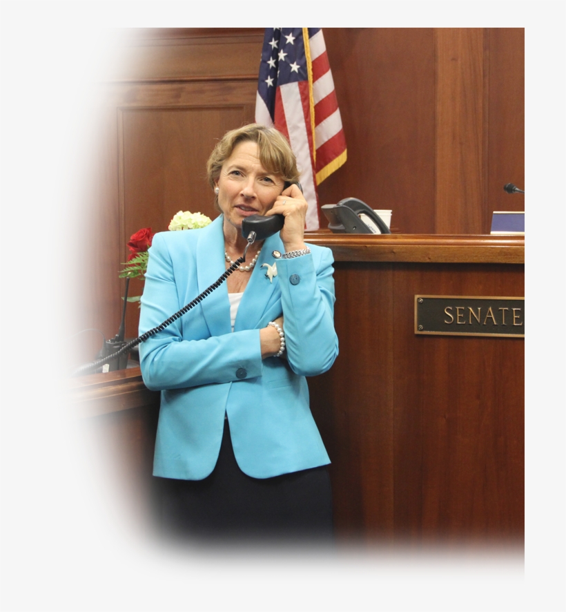 Giessel Bio Portrait 90pct - Flag Of The United States, transparent png download