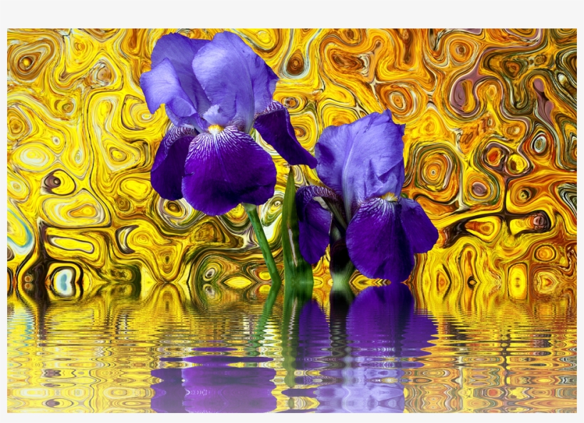 Iris, Flower, Blossom, Bloom, Purple, Violet, Isolated - Iris Versicolor, transparent png download
