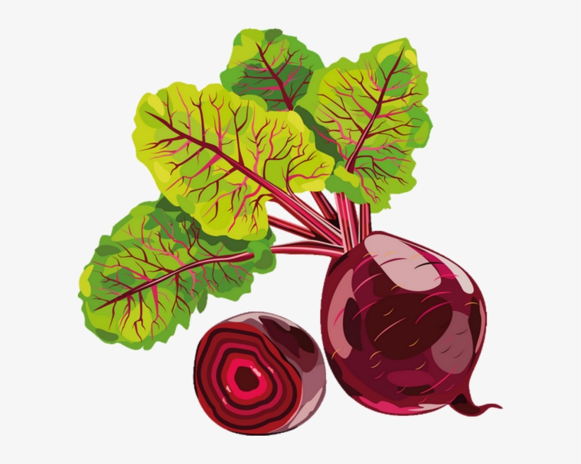 Svg Royalty Free Download Vegetable Chard Beetroot - Betterave Rouge Dessin, transparent png download
