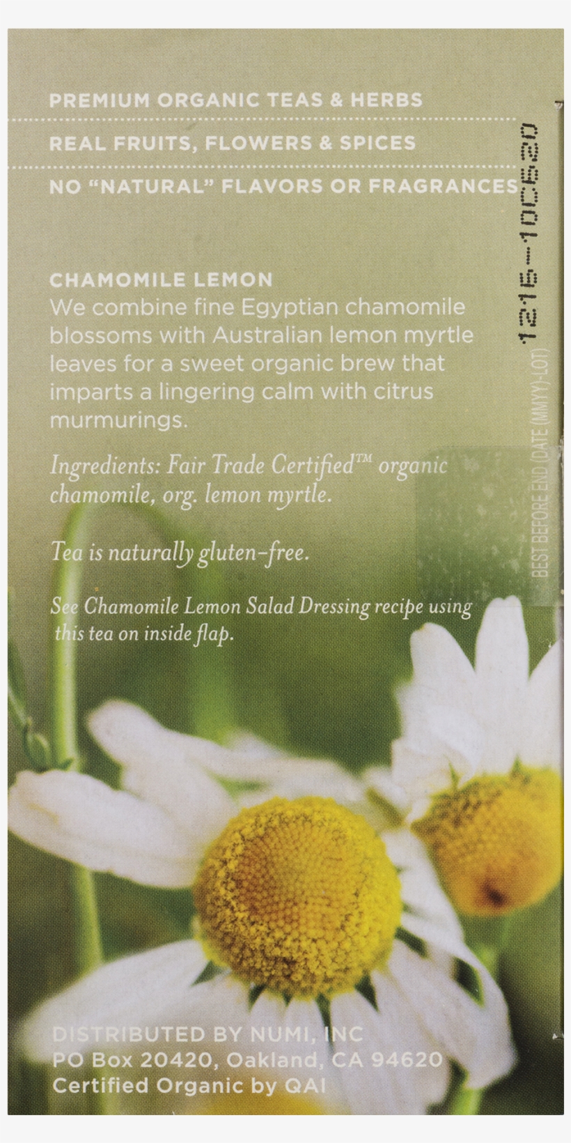 Chamomile, transparent png download