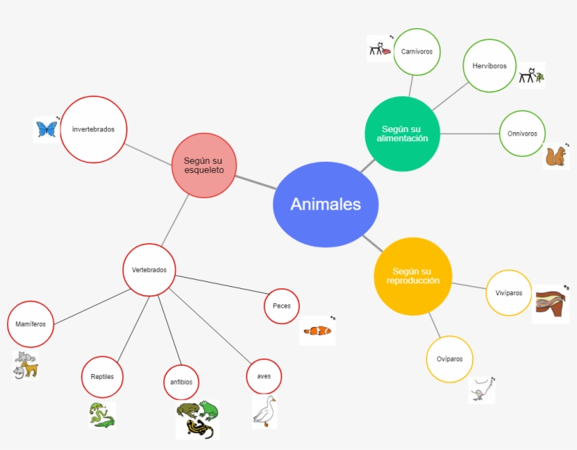 Mindmap 1 Mamíferos Vertebrados Reptiles Anfibios Aves - Diagram, transparent png download