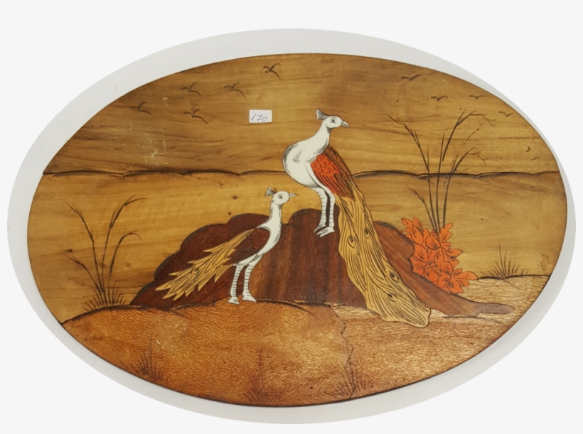 By Ziv Auction Gallery - Bald Eagle, transparent png download