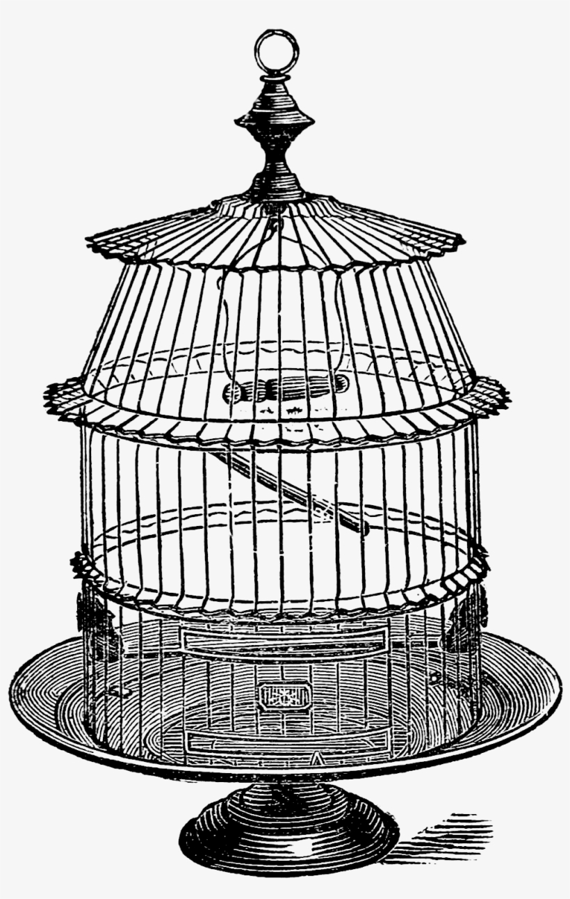 Drawn Birdcage Set Free - The Birdcage, transparent png download