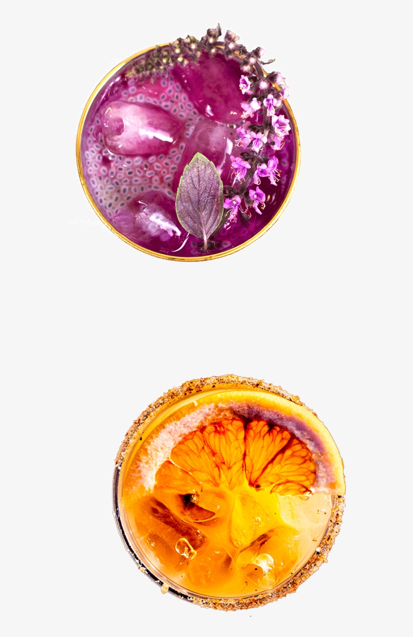 Snake Oil Cocktail Pitaya And Xolo Margarita - Floral Design, transparent png download