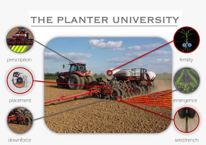 About The C - Poor Corn Emergence, transparent png download