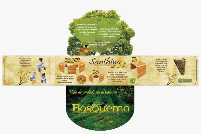 Solapa Banca Santhiya - Tree, transparent png download