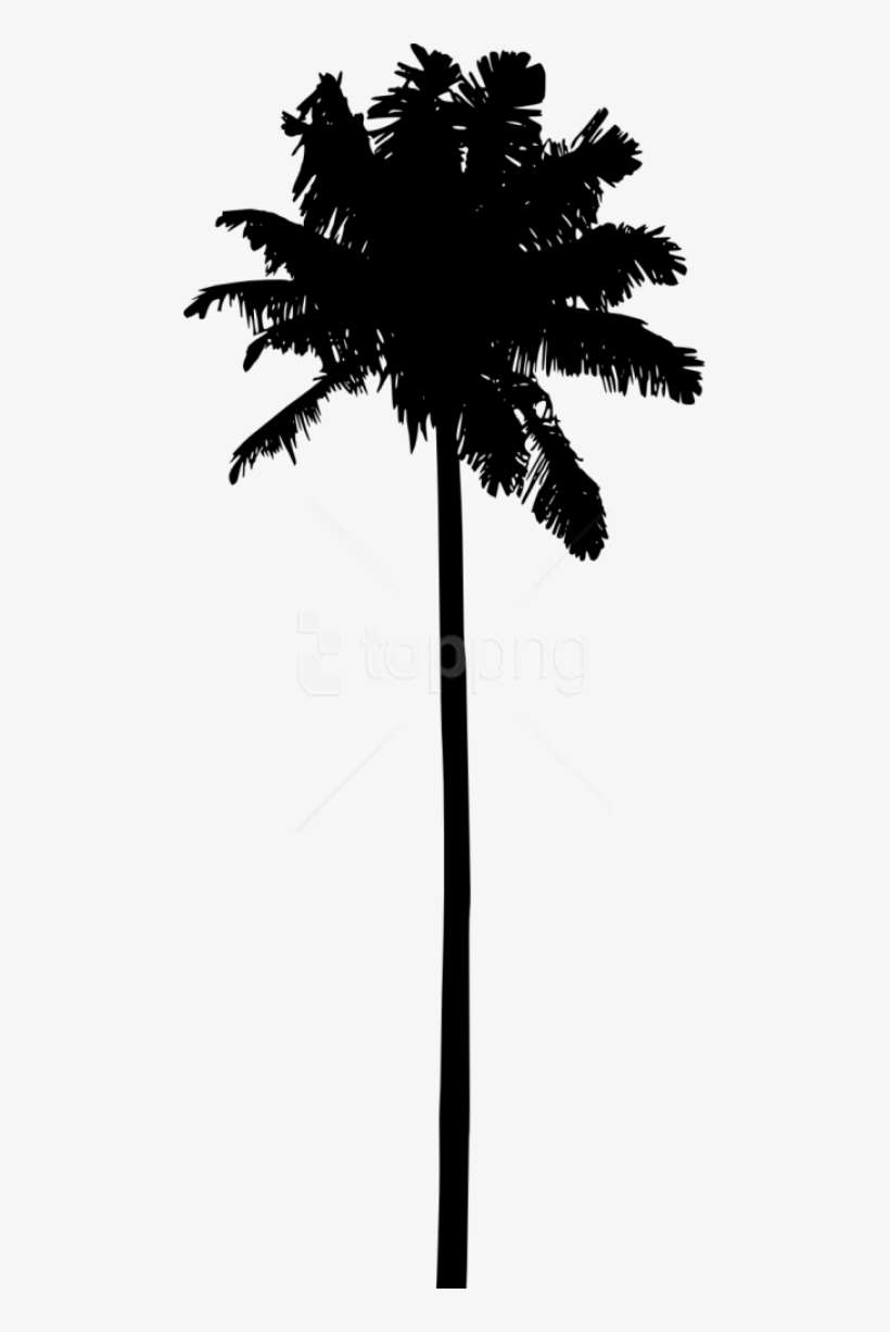 Free Png Palm Tree Silhouette Png - Transparent Palm Tree Silhouettes, transparent png download