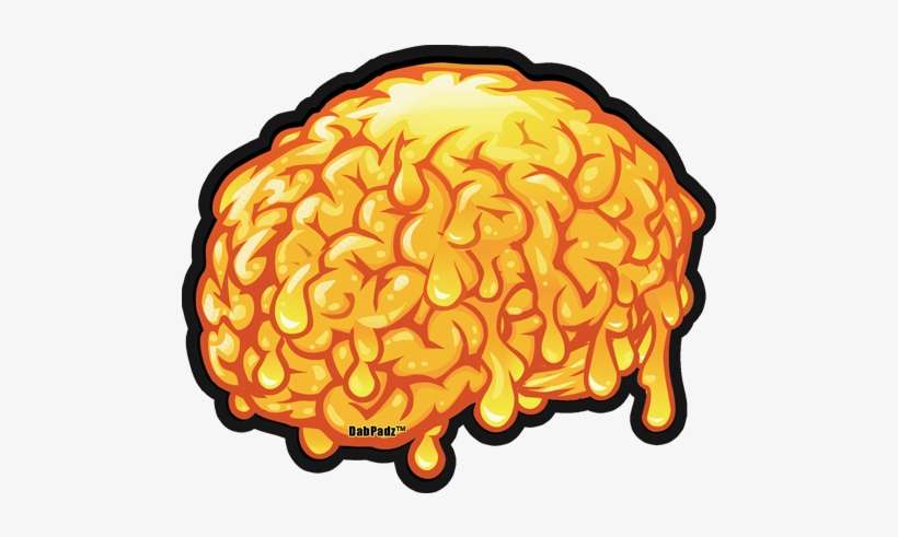 Brains Png - Brain, transparent png download
