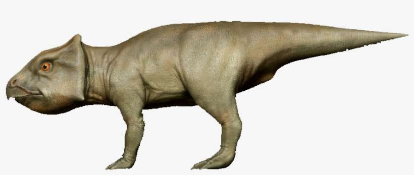 Dossier Empty Png Brontosaurus - Tyrannosaurus, transparent png download