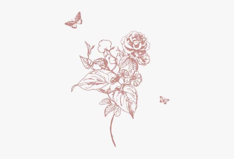 Wild One Branding Graphics 2 - Sketch, transparent png download