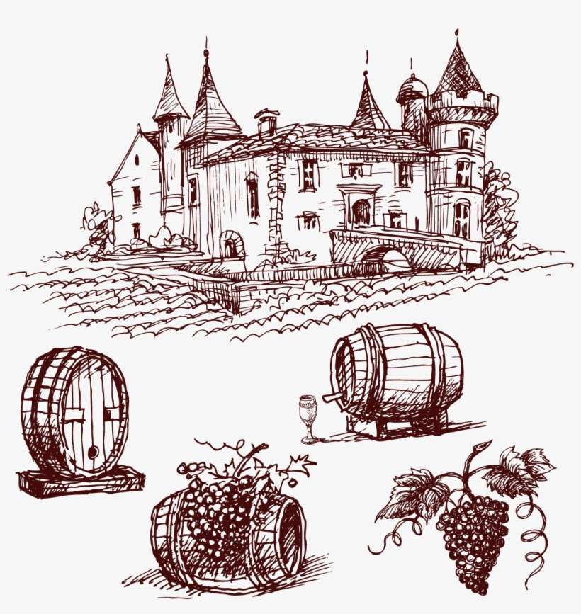 Banner Library Library Red Wine Port Common Grape Chxe - Manor Sketch Png, transparent png download