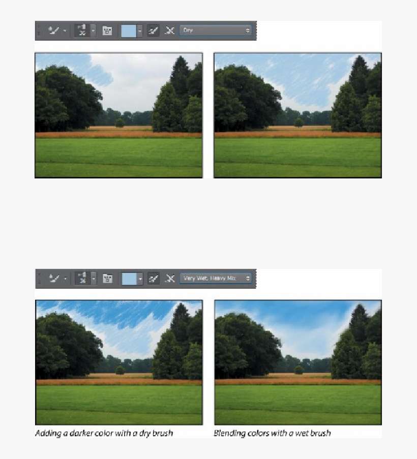 Grass To Highlight It - Grass, transparent png download