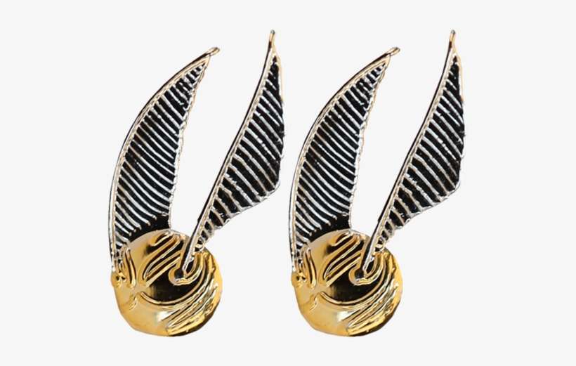 Earrings, transparent png download