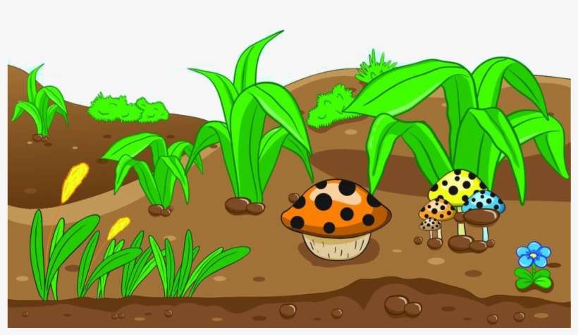 Royalty Free Art Mushrooms Transprent Royaltyfree Png - Boden Clipart, transparent png download