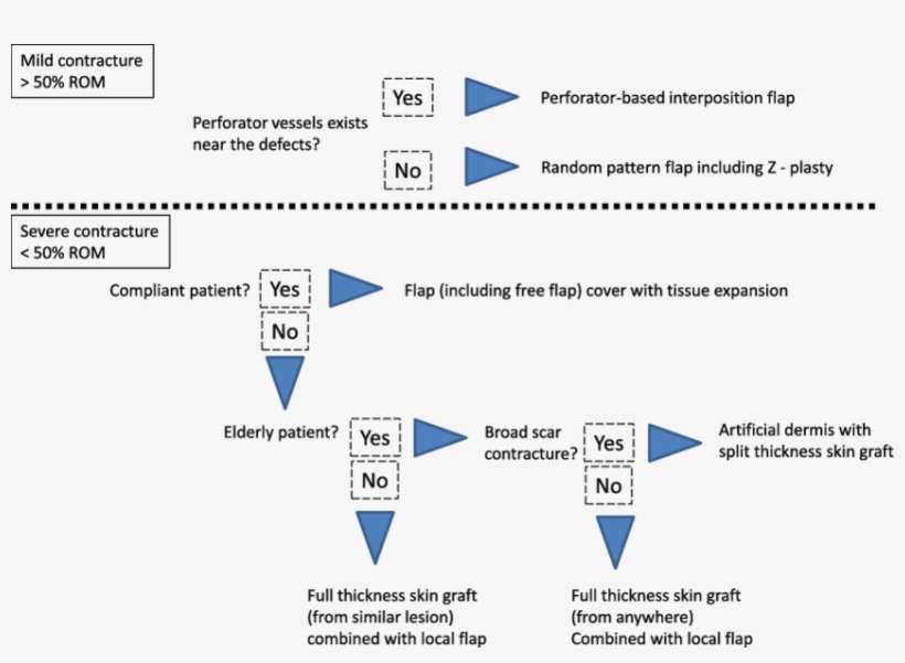 850 X 582 1 - Diagram, transparent png download