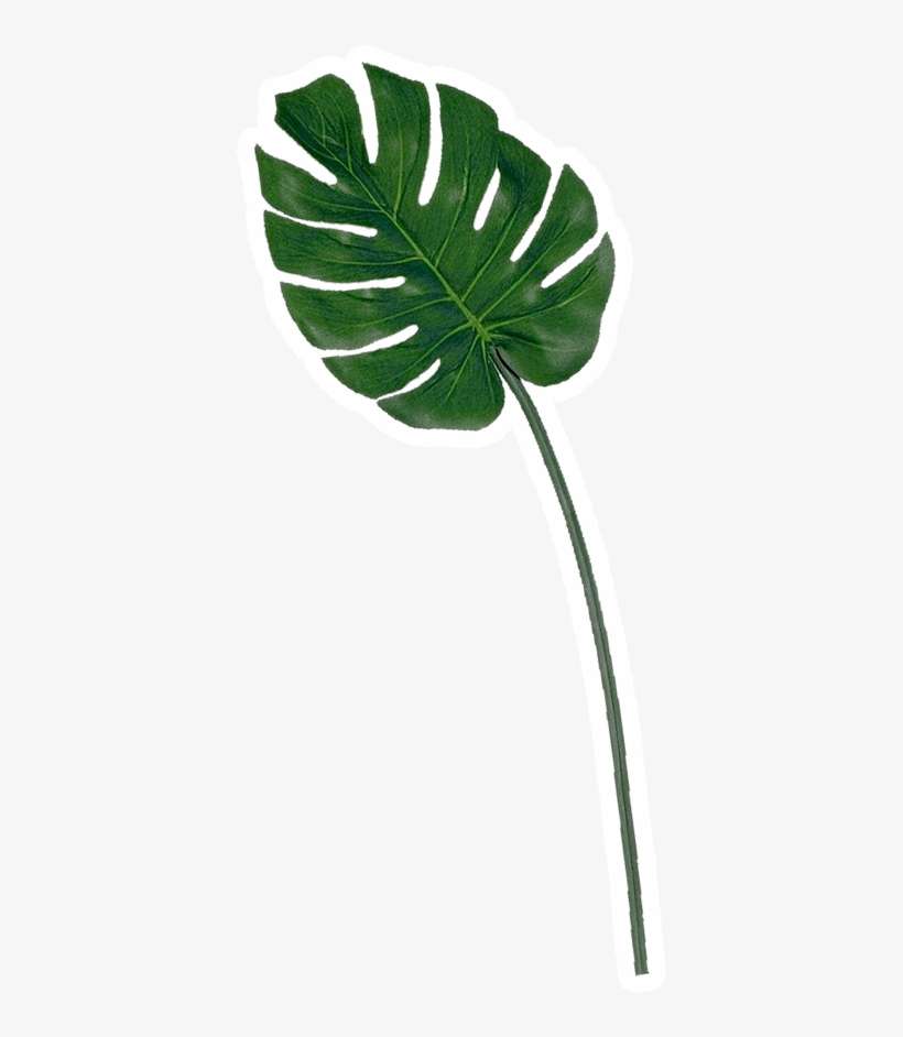 Case Editor - Topical Leaves, transparent png download